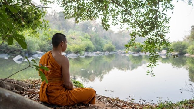 Mindfulness for Beginners
