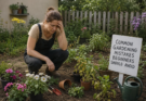 Common Gardening Mistakes Beginners Should Avoid
