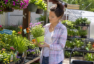 How to Choose the Right Plants for Your Garden