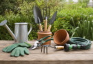 Simple Gardening Tools Every Beginner Needs