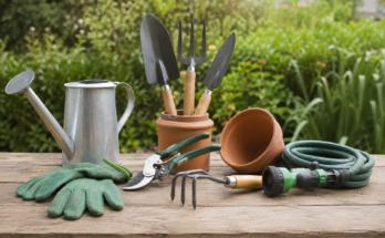 Simple Gardening Tools Every Beginner Needs