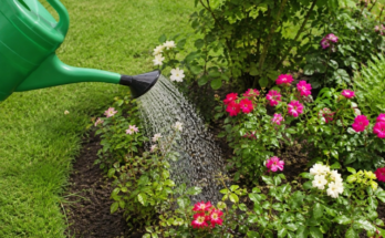 Tips for Keeping Garden Plants Healthy and Green