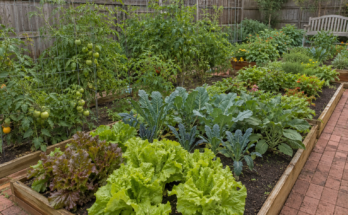 Tips for Starting a Productive Kitchen Garden