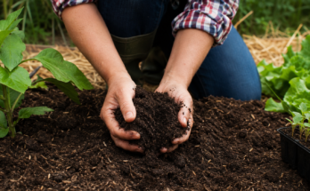 Easy Tips for Keeping Garden Soil Healthy