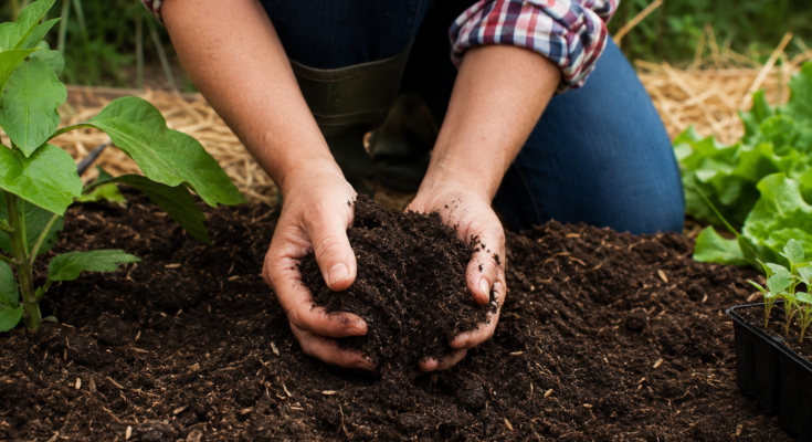 Easy Tips for Keeping Garden Soil Healthy