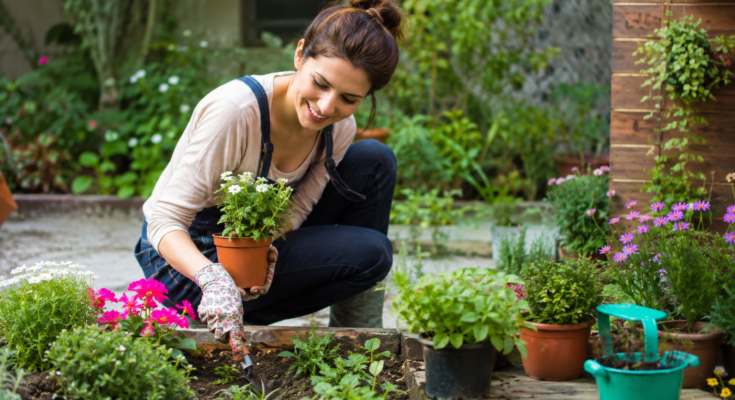 Eco Friendly Gardening Tips for a Greener Home