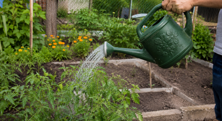 How to Save Water While Gardening